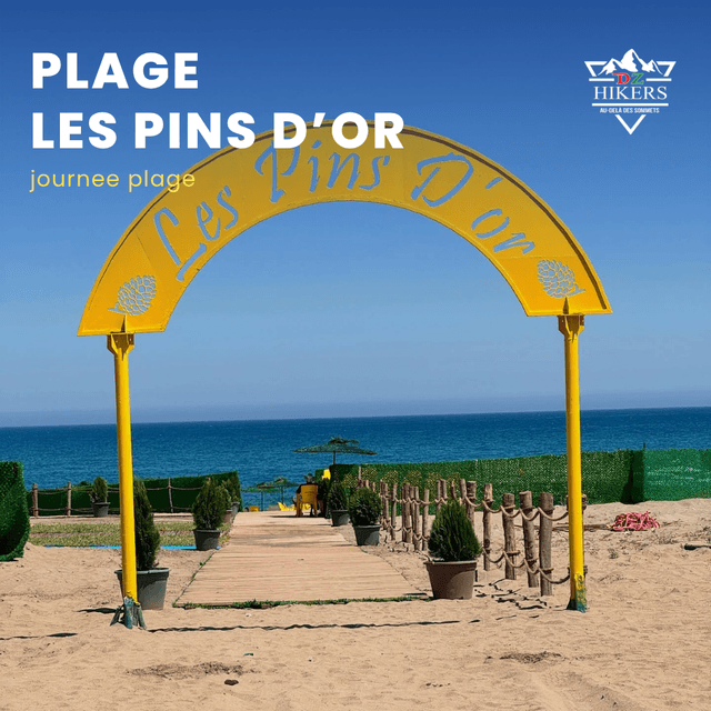 Sorties